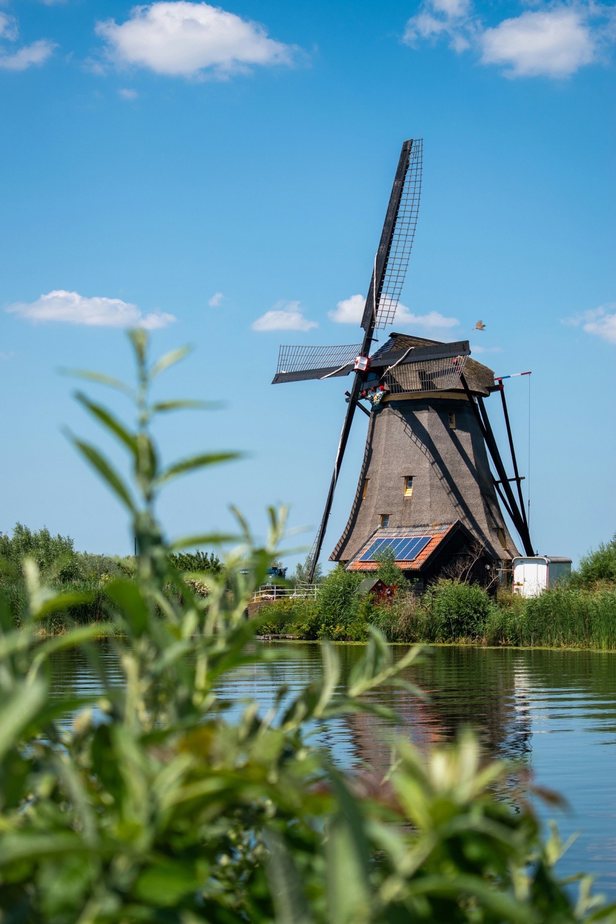 Dutch Windmill